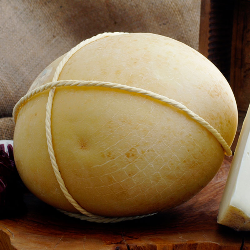 1621 Caciocavallo